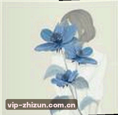 赵敏
